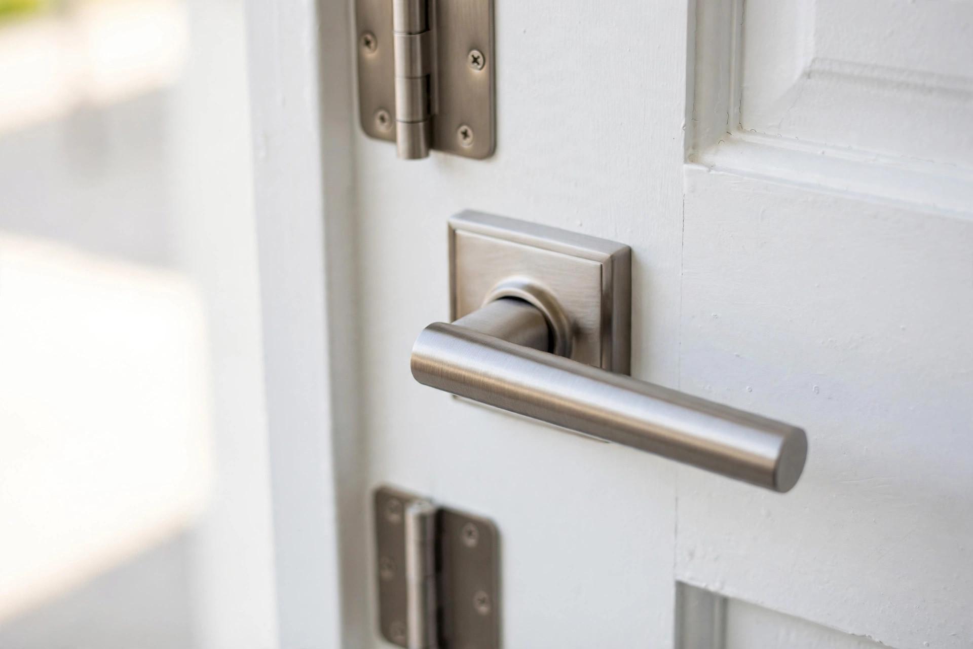 Close-up of brushed nickel lever handle and hinges on a white interior door